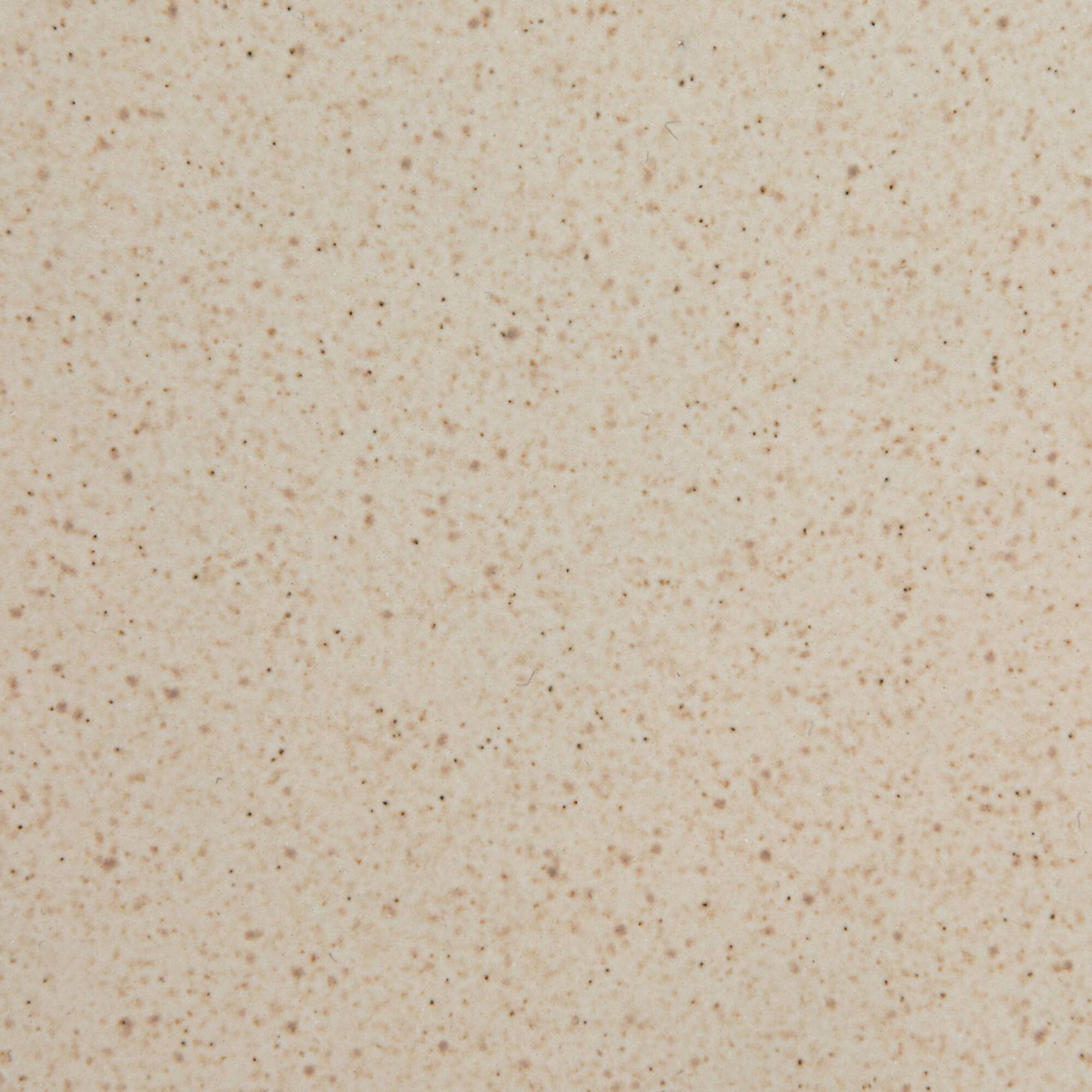 Hello Honey® 10.25" Cream Speckled Glaze Stoneware Plate, 2ct.